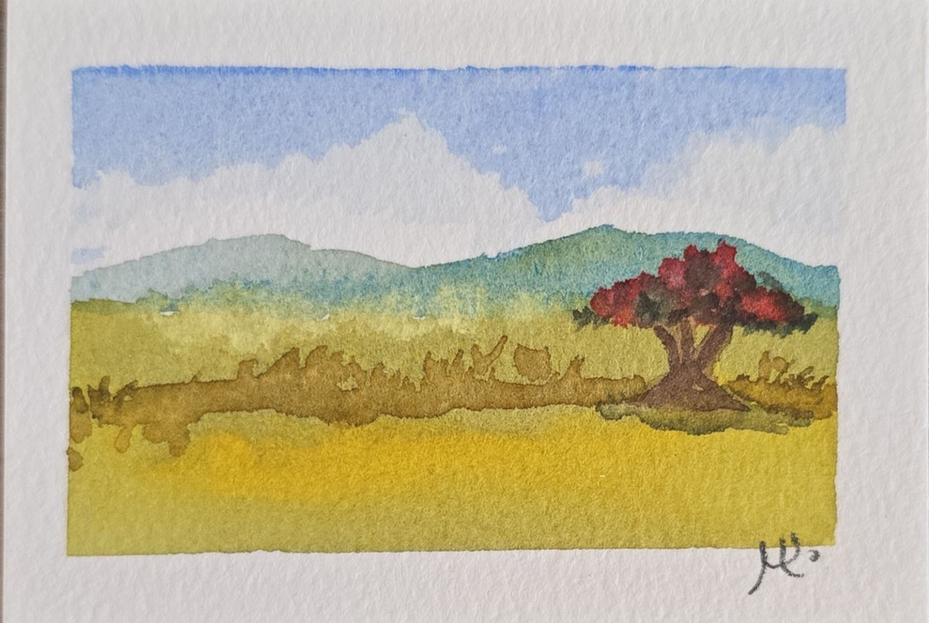 Paisaje en acuarela de un flamboyán de flores rojas en medio de un campo verde, con montañas y cielo azul al fondo.