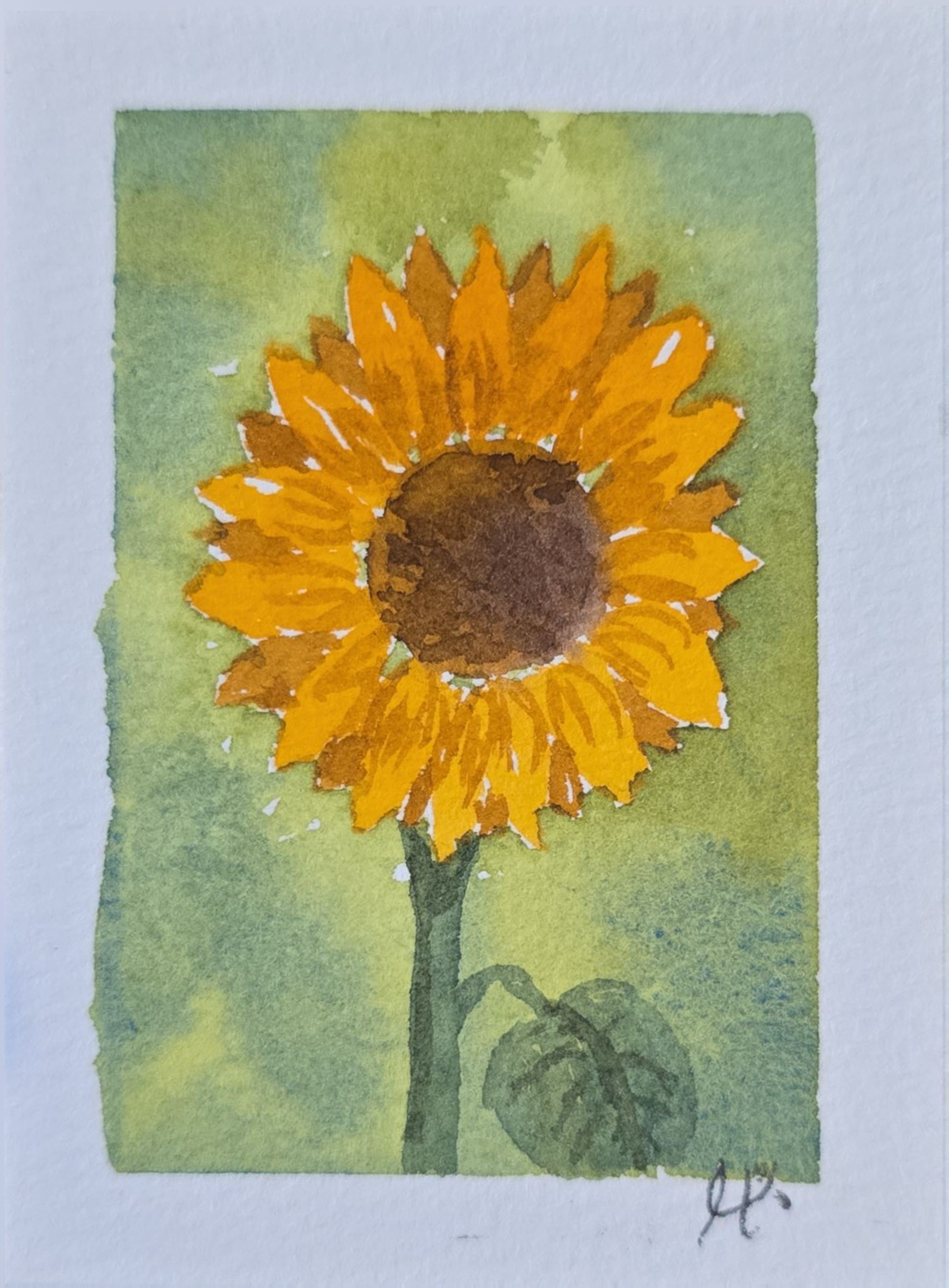 Acuarela de un girasol amarillo de gran centro marrón, con tallo y hojas verdes sobre un fondo verde claro.